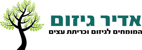 אדיר גיזום